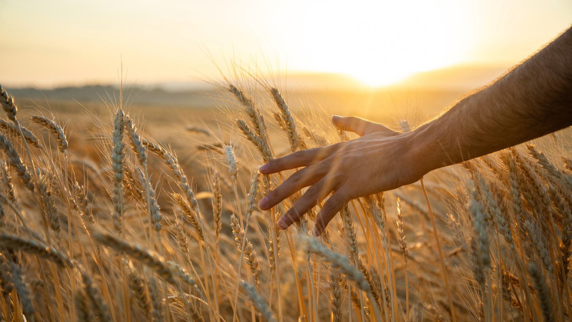 God Provides For Needs “In Its Season”