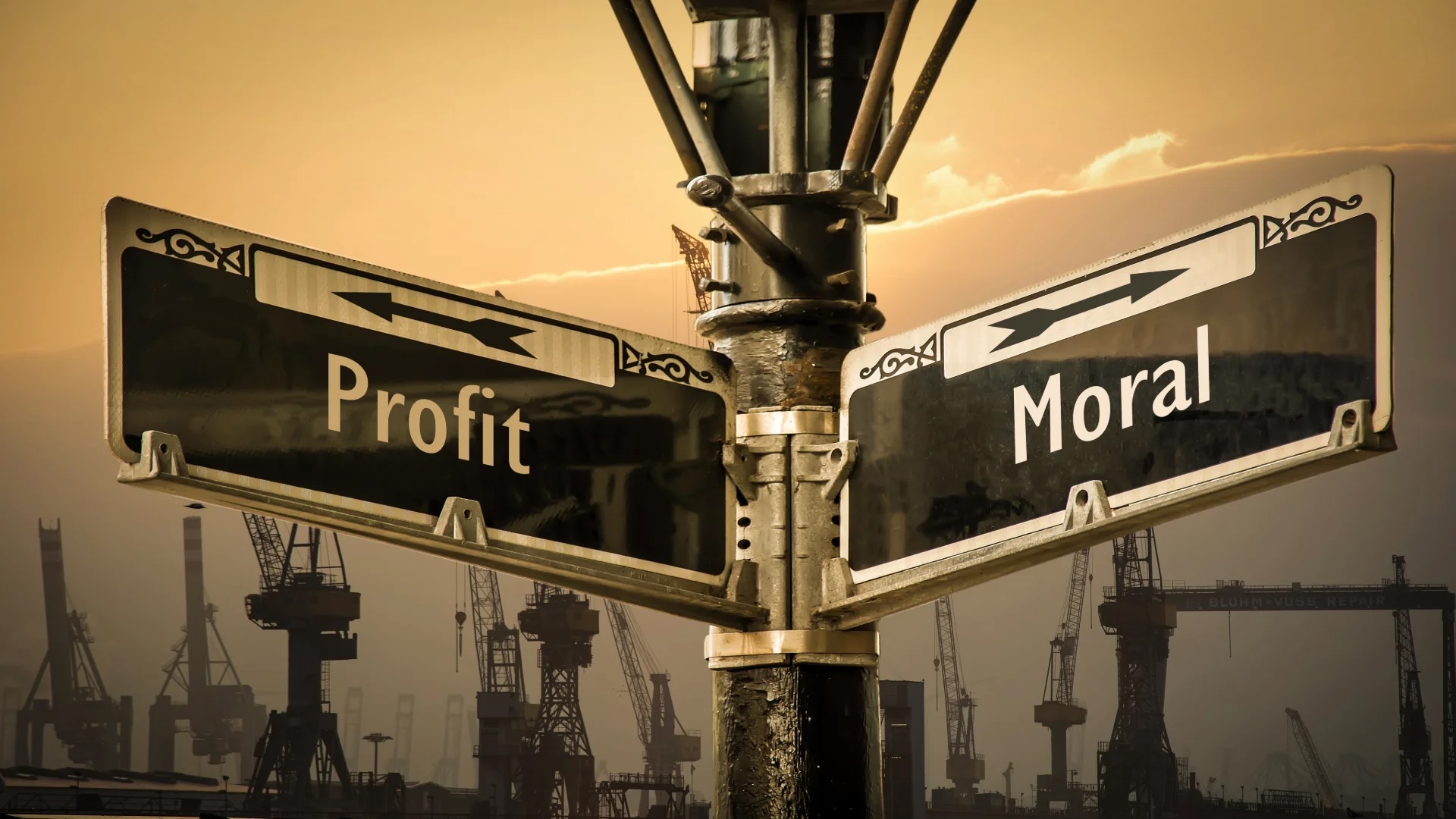 Being Ethical Can Be Profitable